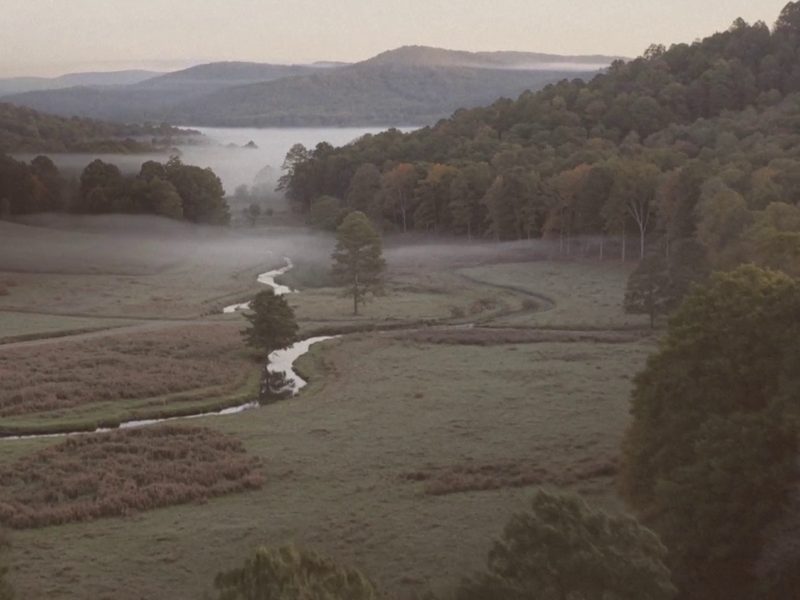 A misty foothill valley with a creek winding through overgrown fields