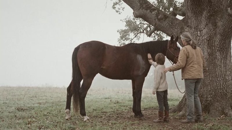 Beside an old oak, a child reaches up to a horse while a mentor holds the lead rope